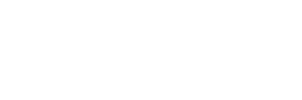 WFS Logo